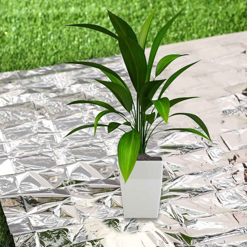 equlup Plant Reflective Film, Plant Growing Reflective Foil 210x120cm/82.68x47.24in Silver Light Reflection Covering Sheets for Greenhouse Light Accessories - Image 5